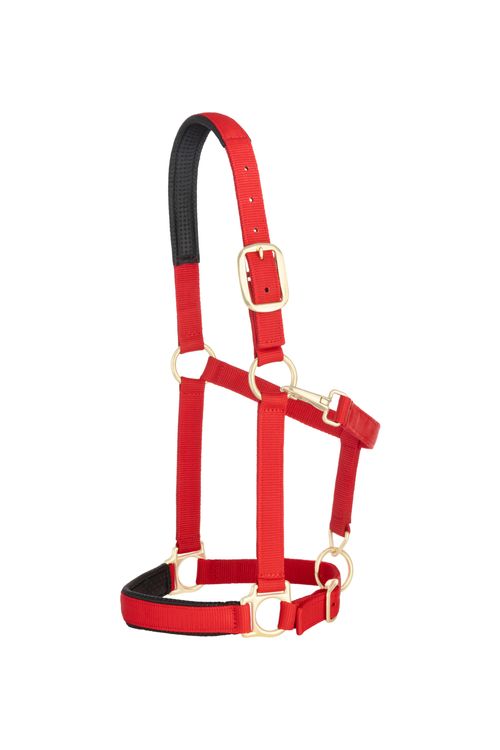 Weaver Padded Adjustable Halter - Red