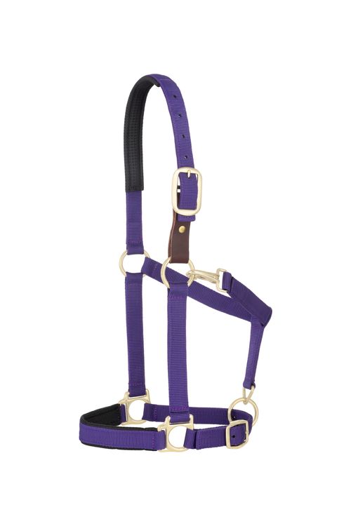 Weaver Padded Breakaway Adjustable Halter - Purple