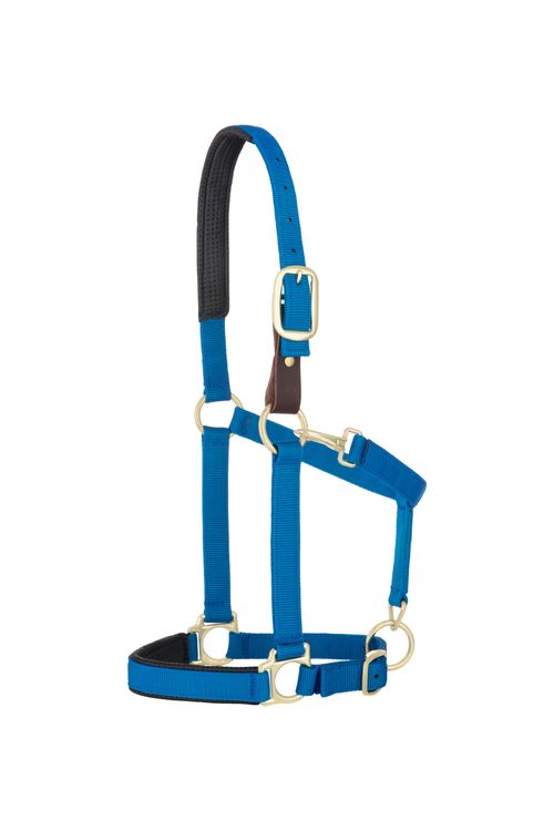 Weaver Padded Breakaway Adjustable Halter - Blue