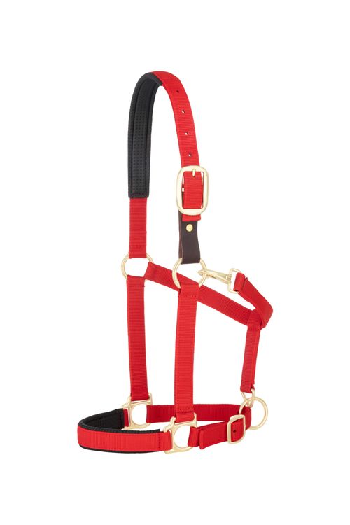 Weaver Padded Breakaway Adjustable Halter - Red