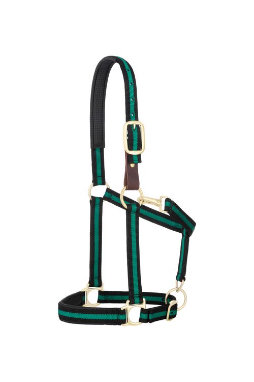 Weaver Padded Breakaway Adjustable Halter - Black/Green