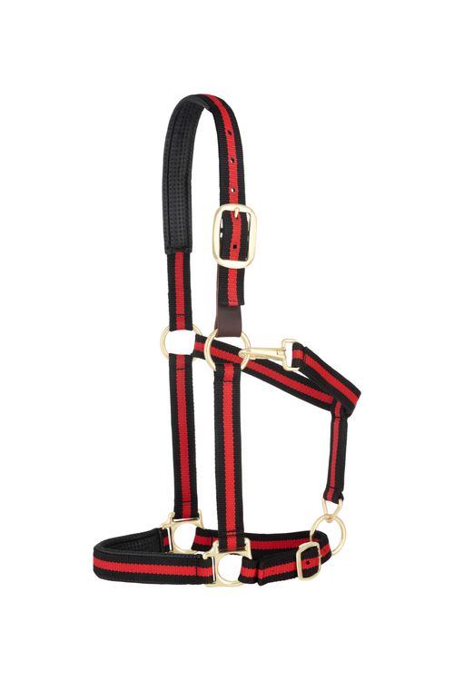 Weaver Padded Breakaway Adjustable Halter - Black/Red