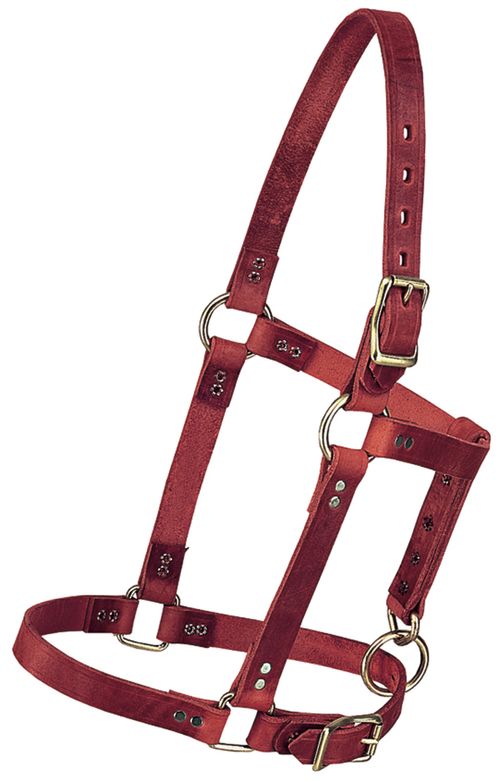 Weaver Riveted Halter - Burgundy