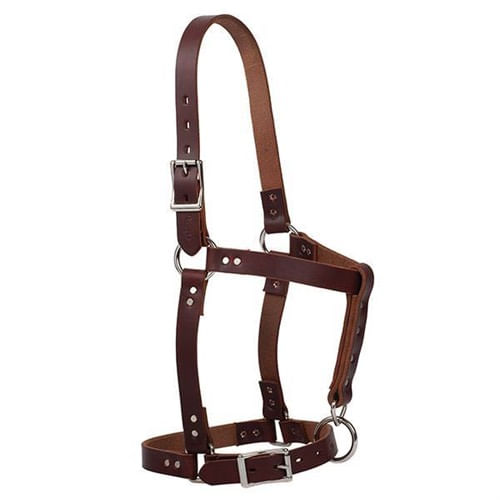 Weaver Riveted Halter - Canyon Rose
