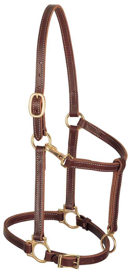 Weaver 3/4" Track Halter - Mahogany