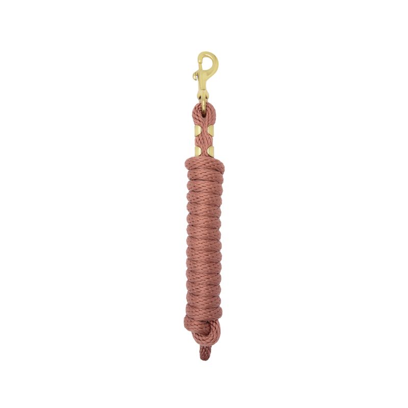 Main