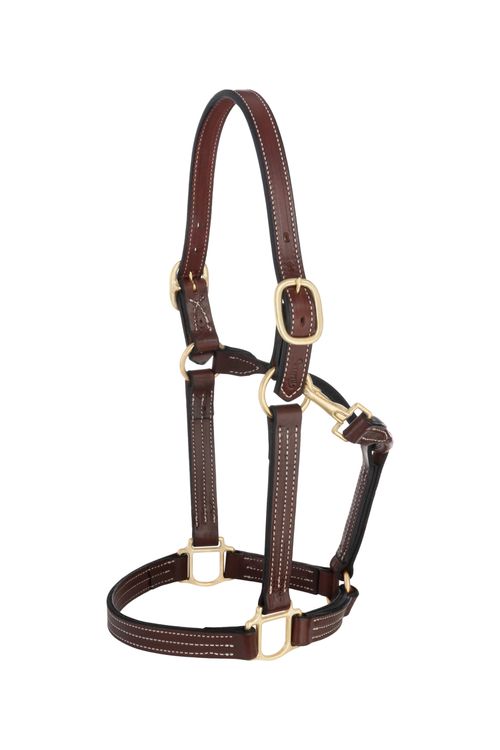 Weaver Thoroughbred Halter w/Snap - Mahogany