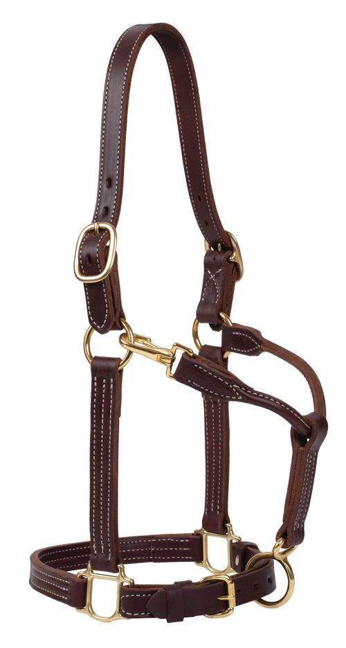 Weaver 1" Track Halter - Canyon Rose