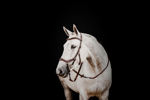 OUTLET: Rambo Micklem 2 Deluxe Competition Bridle w/Reins - Large Cob - Dark Havana