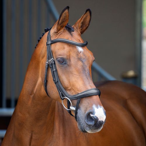 OUTLET: Shires Velociti Lusso Ergonomic Curved Flash Bridle - Cob - Black
