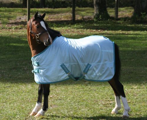 OUTLET: TuffRider Comfy Mesh Mini Fly Sheet - 52 - Porcelain Blue/Teal