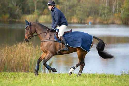 BARGAIN: Rambo Competition Sheet - X Large - Navy/Beige/Blue/Navy
