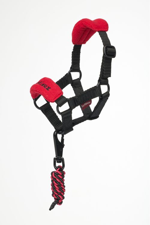 LeMieux Toy Pony Vogue Halter & Leadrope - Chilli