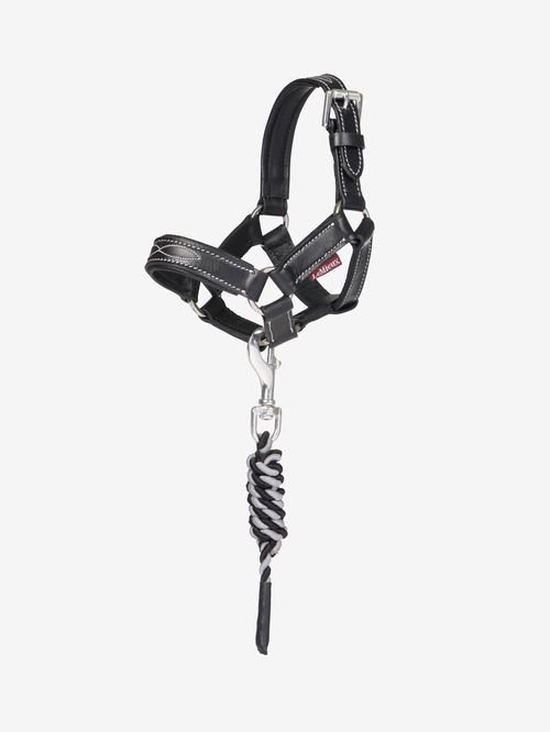 LeMieux Toy Pony Leather Headcollar & Leadrope - Black