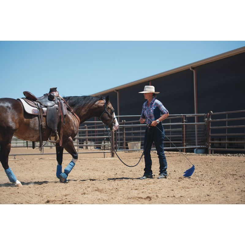 Main
