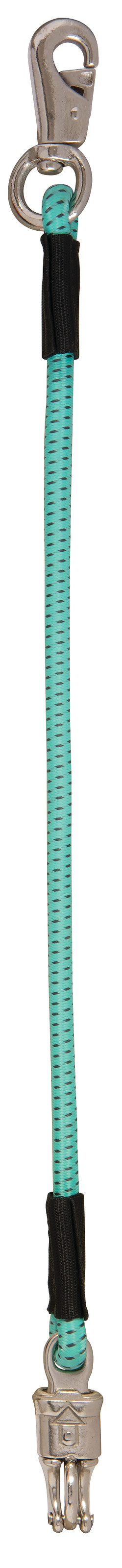 Weaver Bungee Trailer Tie - Aqua/Gray