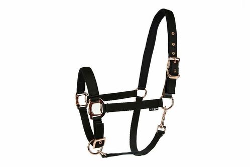 OVERSTOCK: Lettia Rosegold Breakaway Halter - Cob - Black