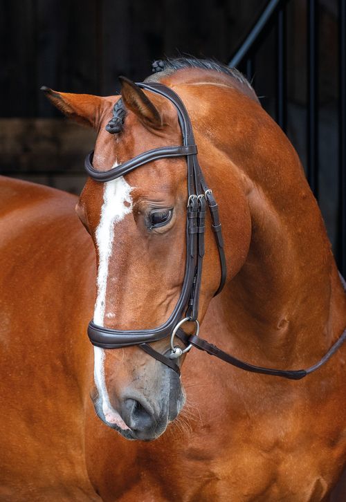 READY TO SHIP: Shires Velociti Rapida Ergonomic Curved Flash Bridle - Horse - Havana