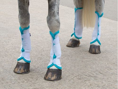 READY TO SHIP: Shires Airflow Turnout Socks - Horse - White