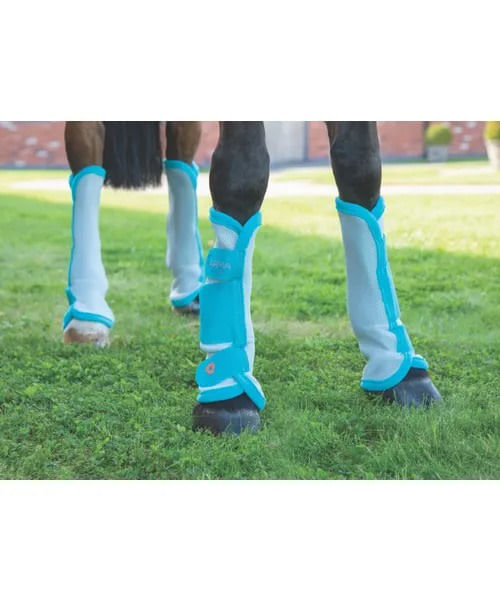 READY TO SHIP: Shires Airflow Turnout Socks - Cob - Teal