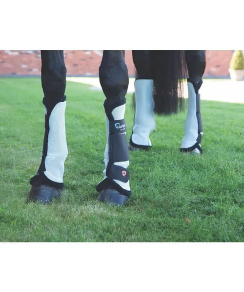 READY TO SHIP: Shires Airflow Turnout Socks - Cob - Black