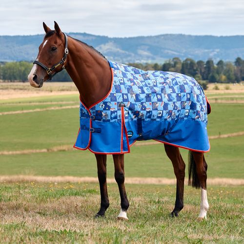 Weatherbeeta Comfitec Frontier Turnout 220G - Disco Steer