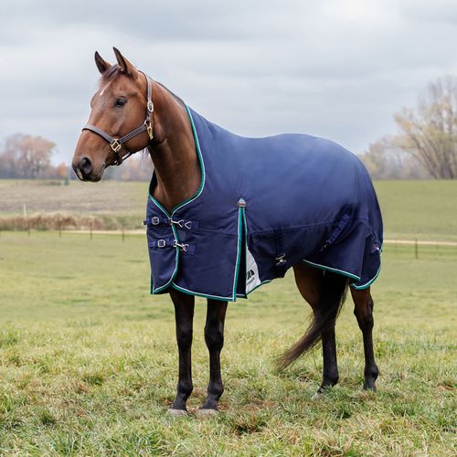 Weatherbeeta Comfitec Plus Dynamic Turnout High Neck 0G - Navy/Forest Green