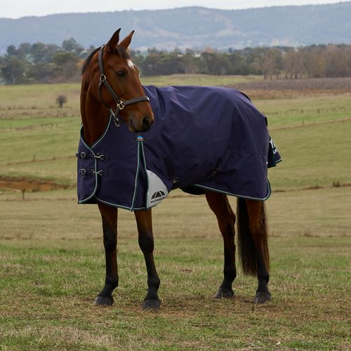 Weatherbeeta Comfitec Plus Dynamic Turnout High Neck 100G - Navy/Forest Green
