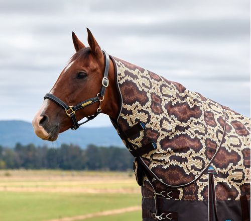 Weatherbeeta Comfitec Legend Turnout Neck Cover 220G - Rattler