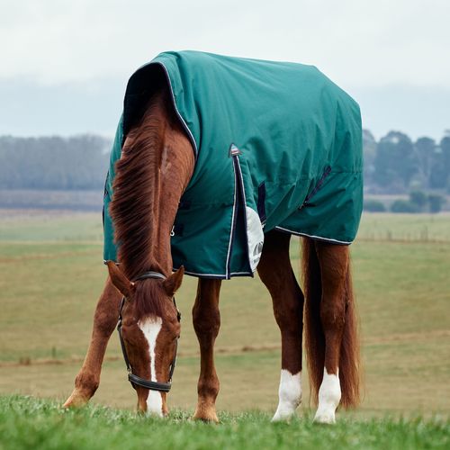 Weatherbeeta Comfitec Plus Dynamic Turnout High Neck 100G - Forest Green/Navy