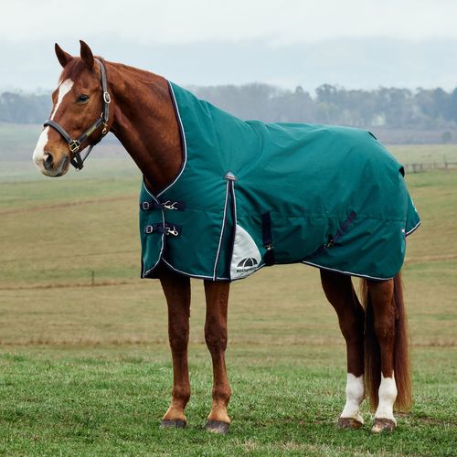 Weatherbeeta Comfitec Plus Dynamic Turnout High Neck 0G - Forest Green/Navy