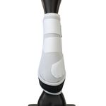 Main