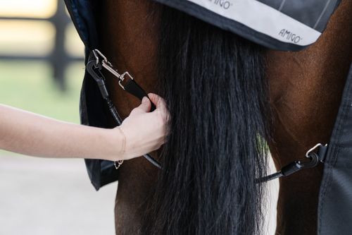Horseware Elasticated Leg Straps - Black