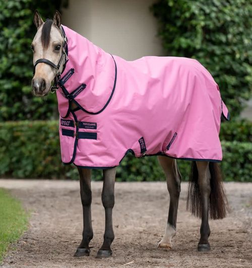 OVERSTOCK: Amigo Ripstop 900D Plus Pony Turnout 0g - 60 - Pink/Pink/Navy