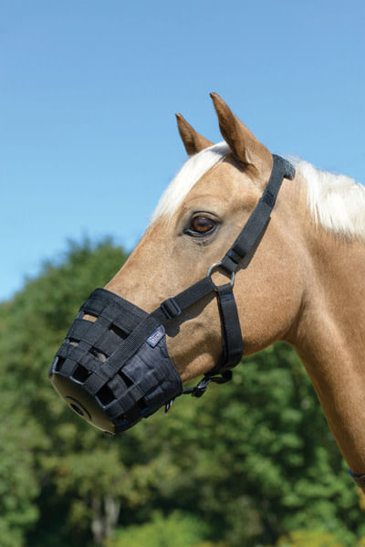BARGAIN: Shires Freegraze Comfort Grazing Muzzle - Small Pony - Black