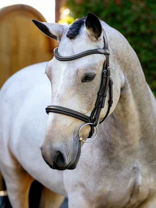 LeMieux Arika Cavesson Bridle - Brown/Silver