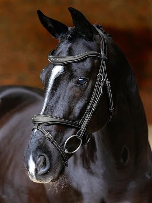LeMieux Kudos Contour Flash Bridle - Black