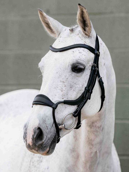 LeMieux Arika Adjustable Anatomic Noseband Bridle - Black/Silver