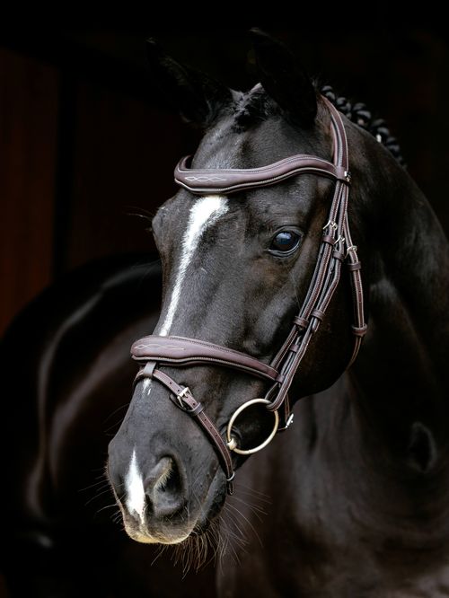 LeMieux Kudos Contour Flash Bridle - Brown