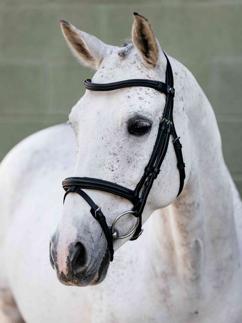 LeMieux Arika Flash Bridle - Black/Silver