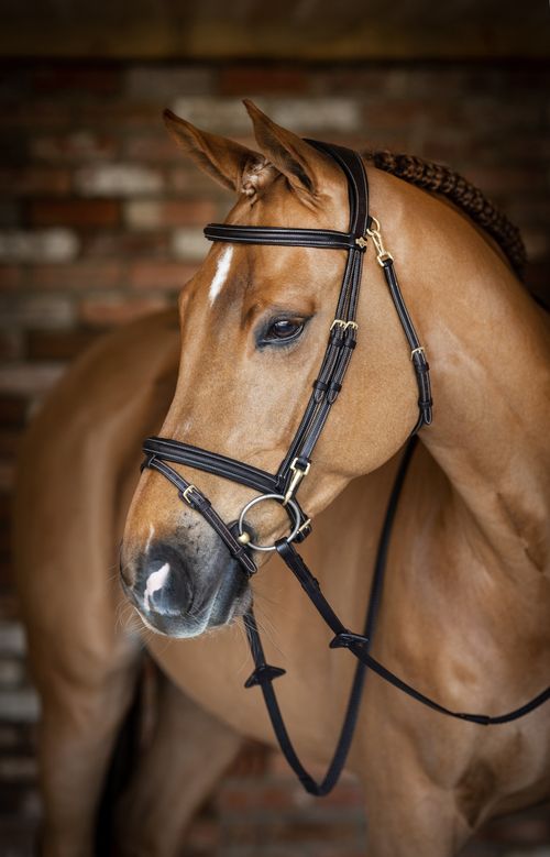 LeMieux Work Bridle - Brown