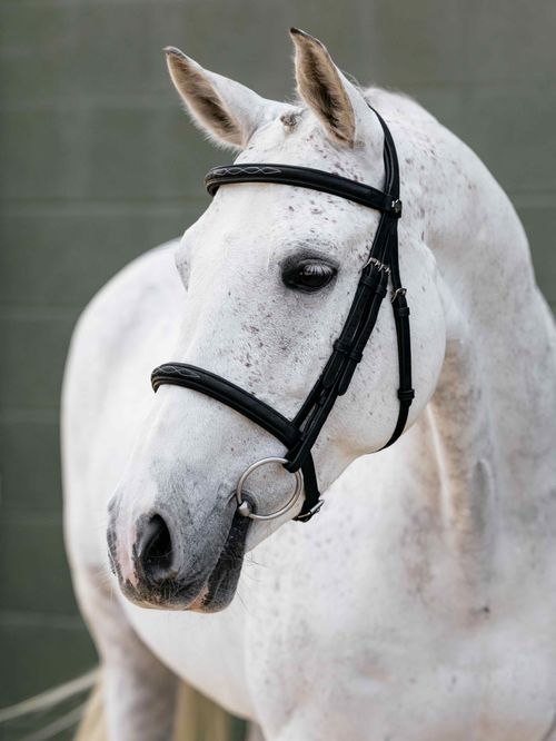 LeMieux Arika Classique Cavesson Bridle - Black