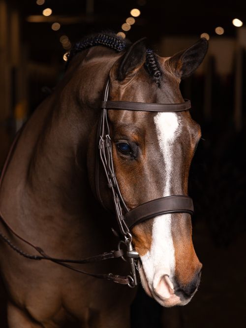 LeMieux Flat Hunter Bridle w/Laced Reins - Havana/Silver