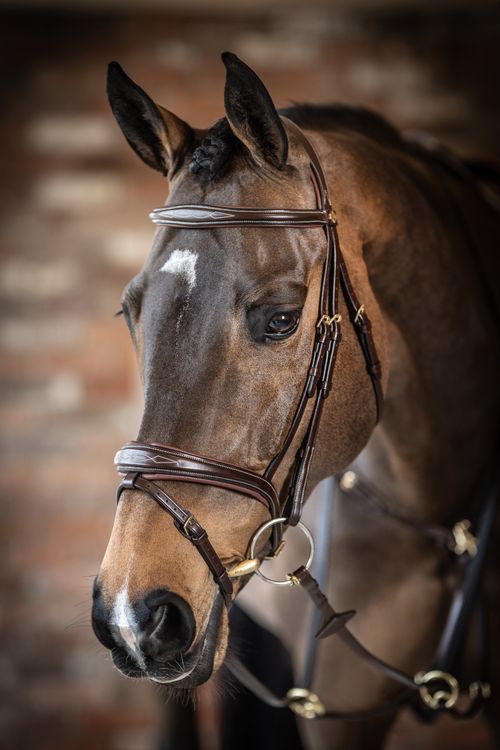 LeMieux Kudos Competition Flash Bridle - Havana