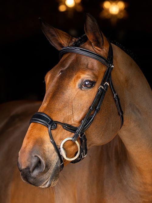 LeMieux Kudos Clear Arc Bridle - Black/Silver