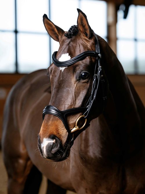 LeMieux Kudos Sport Bridle - Black/Silver