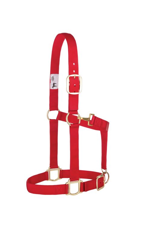 BARGAIN: Weaver Nylon 1.5"  Adjustable Draft Halter - Average Draft - Red