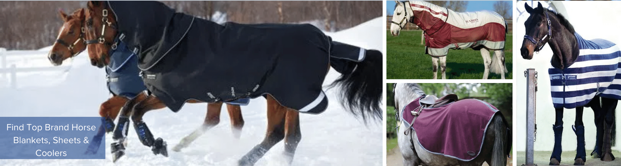 Shop for Top Brand Horse Blankets, Sheets & Coolers