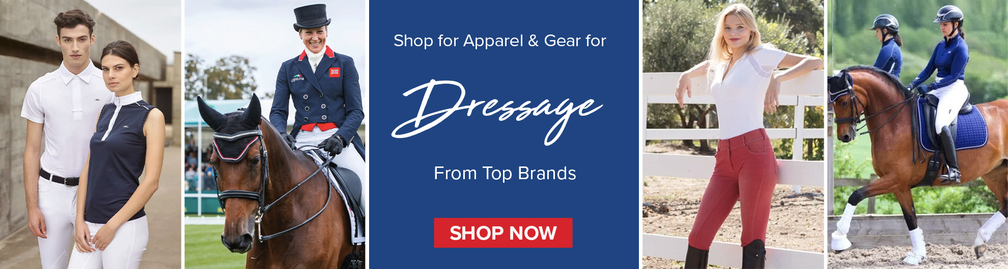 Dressage Apparel & Gear for Hose and Rider