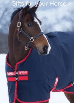 Gifts for your Horse